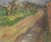 Vincent Van Gogh, Pollard Willows (nn04)